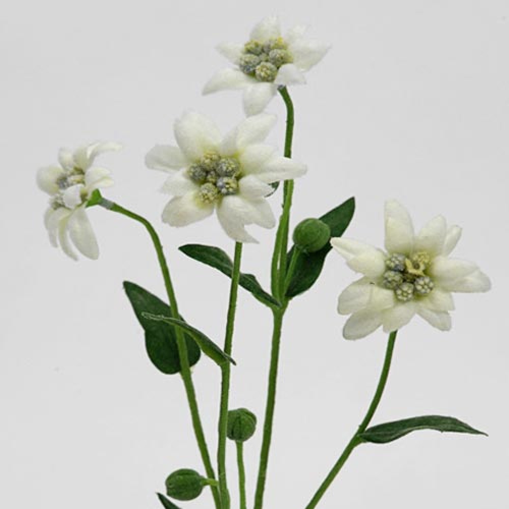 Artificial Silk Edelweiss Artificial Flowers